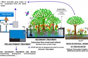 Xử lý nước thải chi phí thấp - Ứng dụng công nghệ Wetland