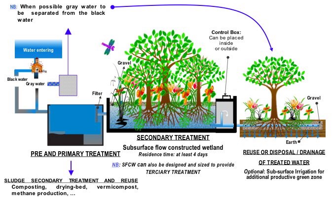 Xử lý nước thải chi phí thấp - Ứng dụng công nghệ Wetland