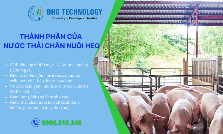 thanh phan cua nuoc thai chan nuoi heo