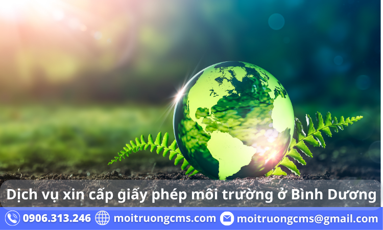 giay phep moi truong la gi 1