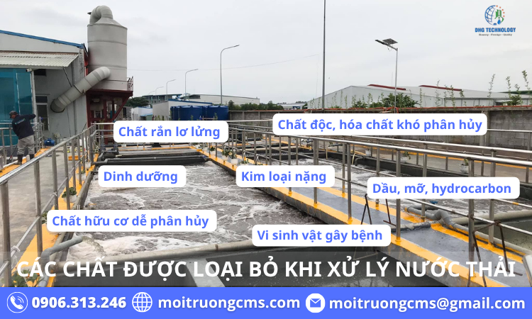 cac chat duoc loai bo khi xu ly nuoc thai