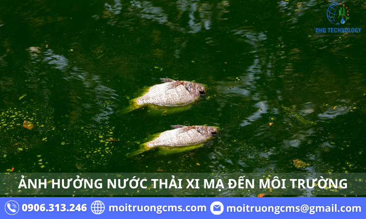 anh huong nuoc thai xi ma den moi truong