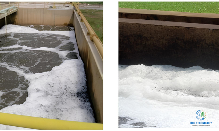 su co tao bot trang trong be aerotank