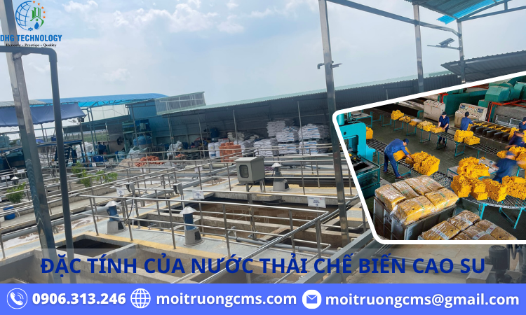 dac tinh cua nuoc thai che bien cao su